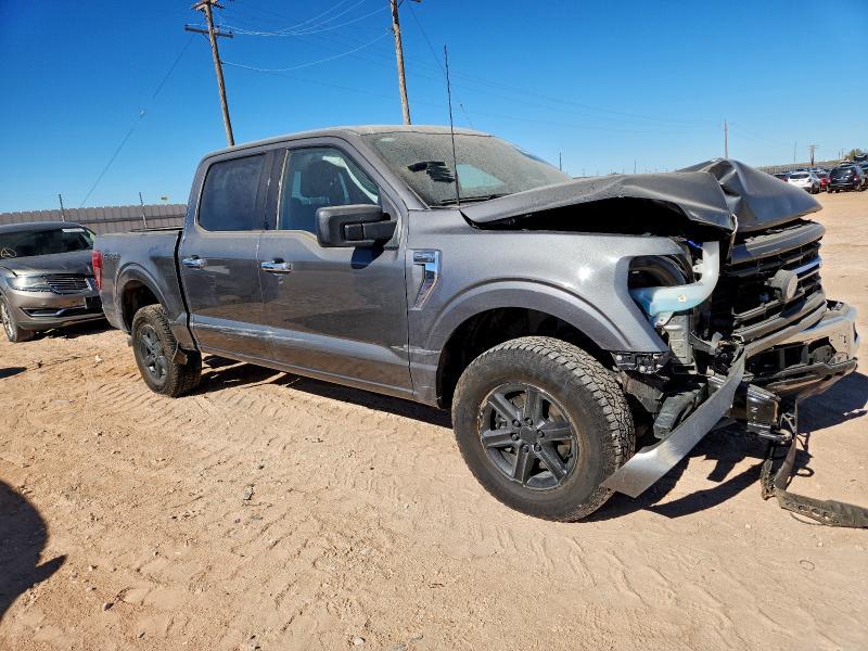 2025 Ford F150 xlt