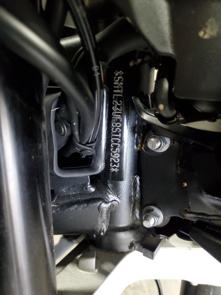 2025 Triumph Daytona 660