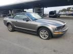 2005 Ford Mustang