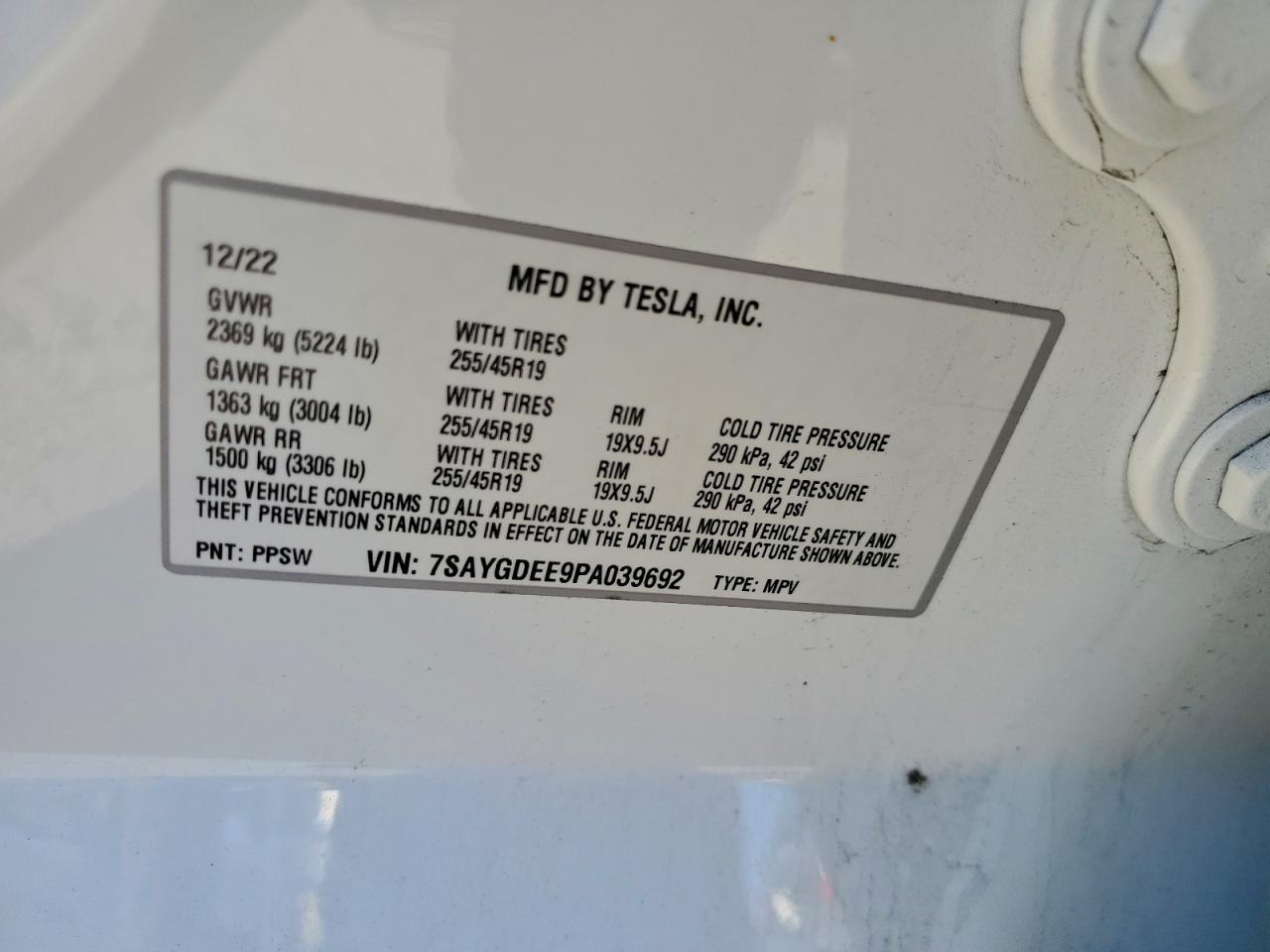 2023 Tesla Model y