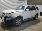 2009 Ford Escape Limited