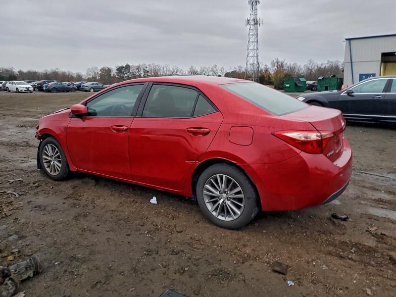 2019 Toyota Corolla l