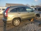 2009 Honda Cr-v exl
