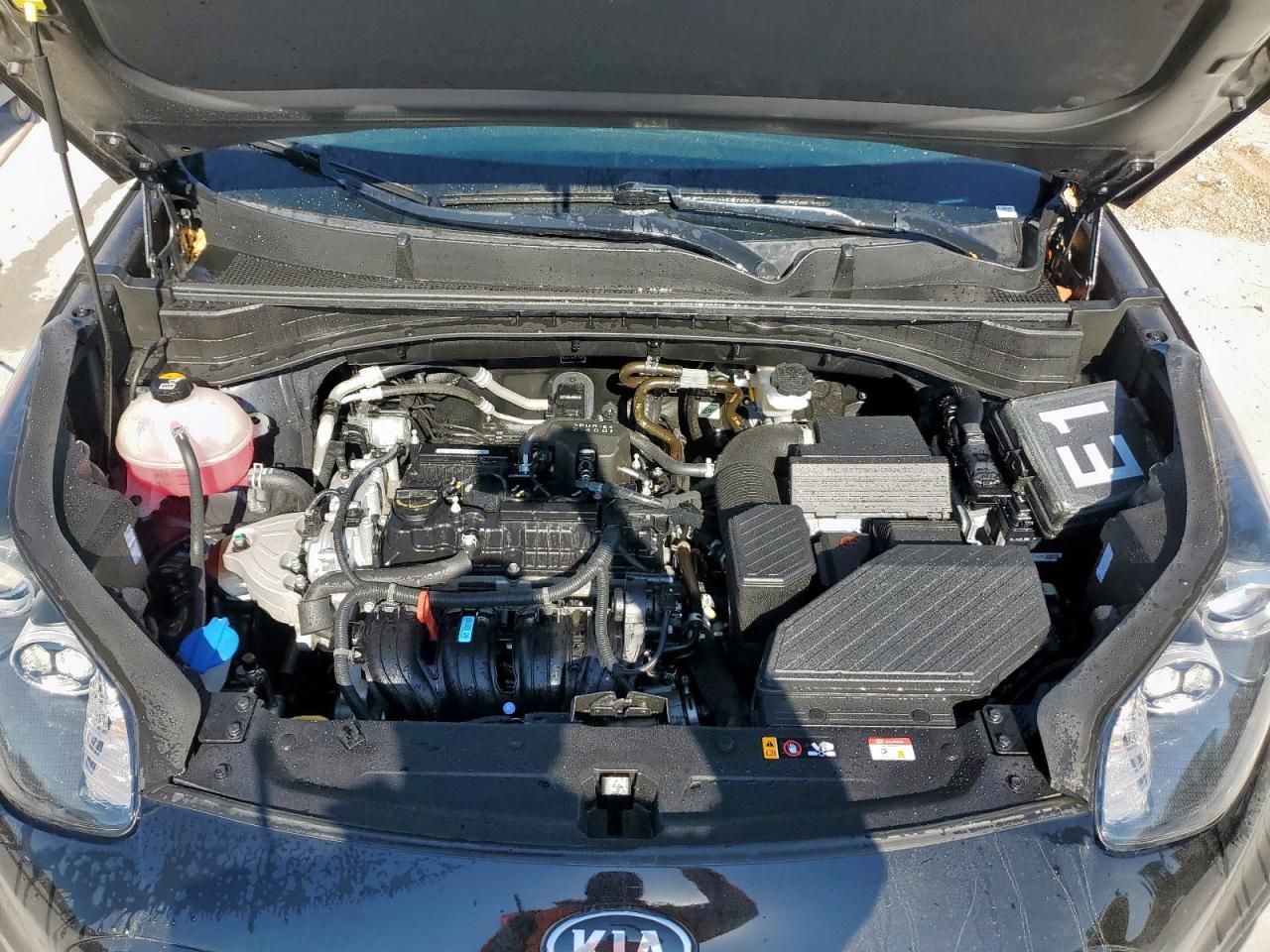 2022 KIA Sportage lx