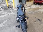 2024 Kawasaki ZX1002 M