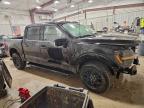 2025 Ford F150 XLT