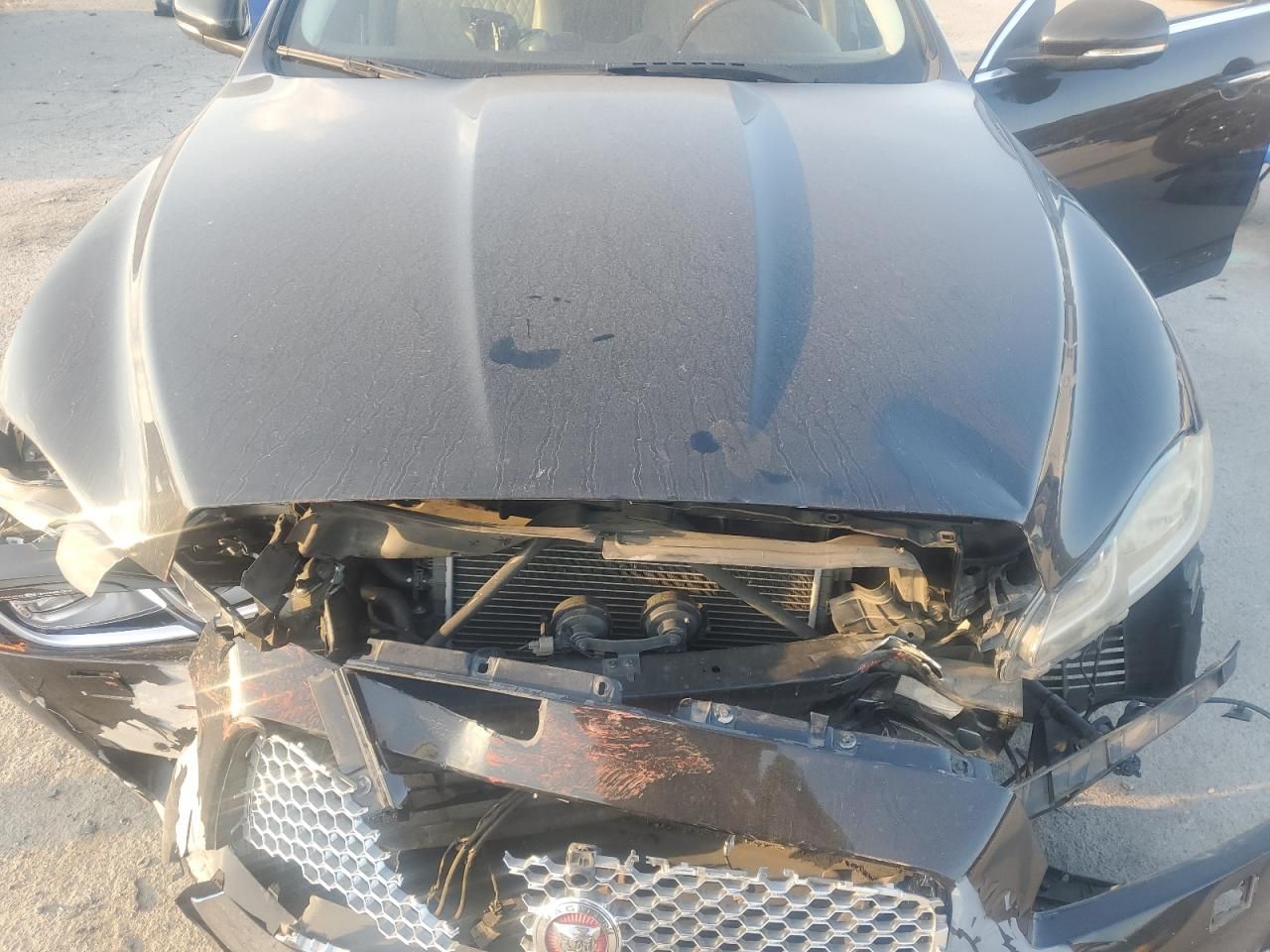 2016 Jaguar Xjl Portfolio