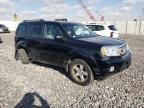 2011 Honda Pilot ex