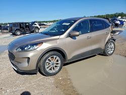 Salvage cars for sale from Copart Houston, TX: 2020 Ford Escape se