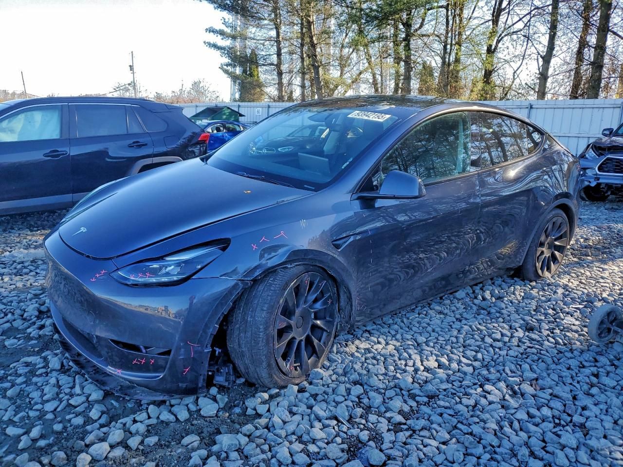 2024 Tesla Model y