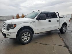 Salvage cars for sale from Copart Pasco, WA: 2011 Ford F150 Supercrew