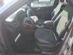 2023 Ford Escape st Line