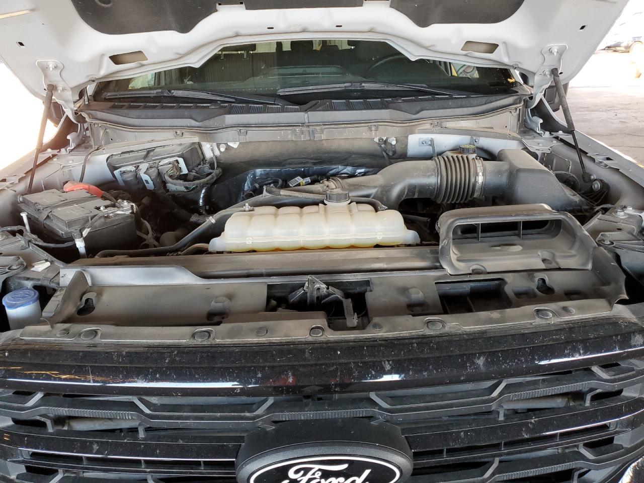 2024 Ford F150 xlt