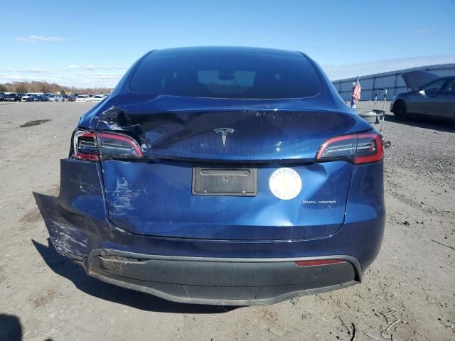 2025 Tesla Model y