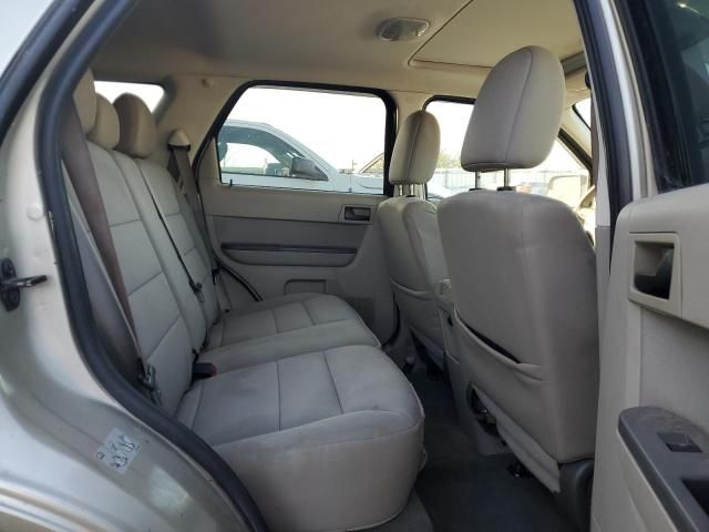2010 Ford Escape xlt