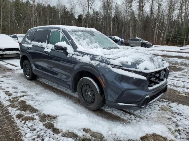 2025 Honda Cr-v exl