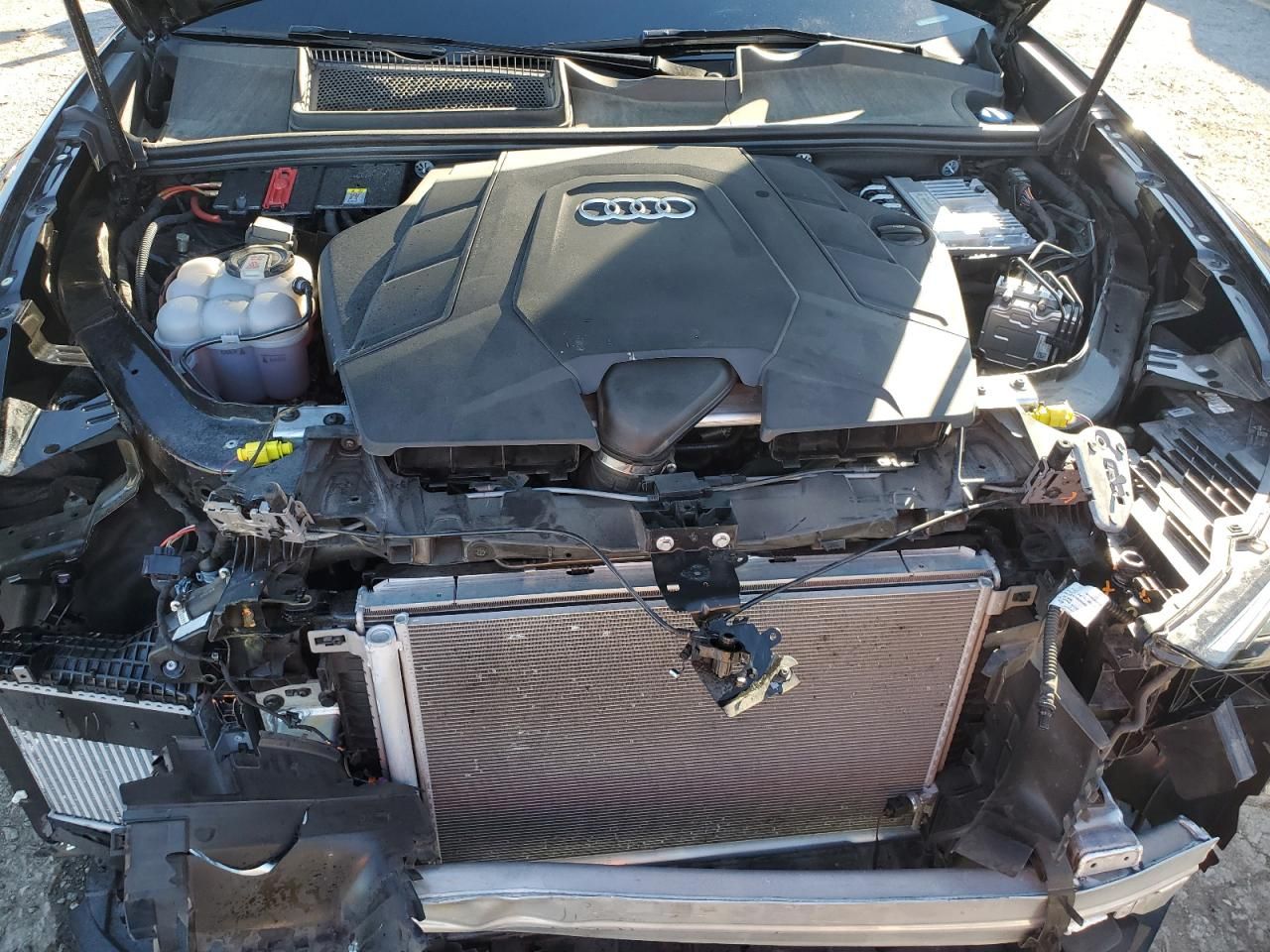 2024 Audi Q8 Prestige S-line