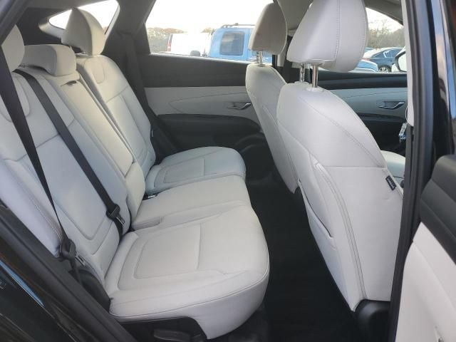 2025 Hyundai Tucson se