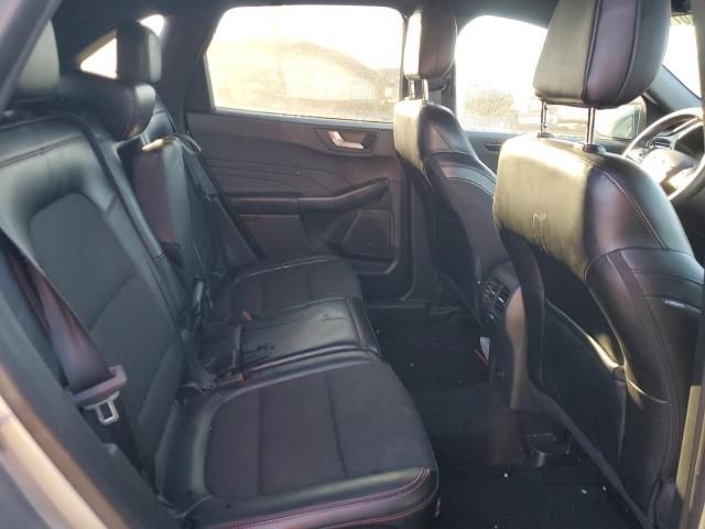 2024 Ford Escape st Line
