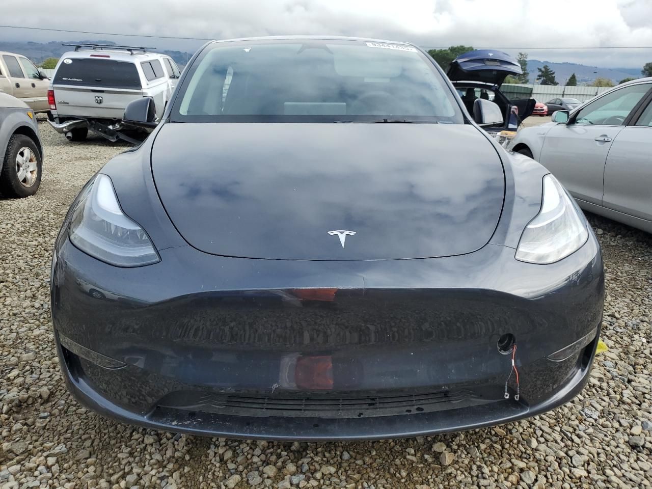 2025 Tesla Model y