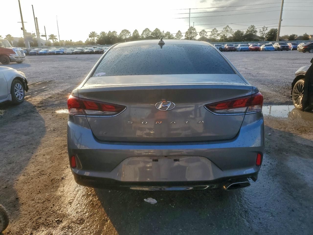 2019 Hyundai Sonata se