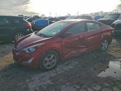 2016 Hyundai Elantra se for sale in Indianapolis, IN