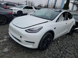 Tesla salvage cars for sale: 2023 Tesla Model y
