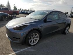 Tesla salvage cars for sale: 2020 Tesla Model y