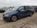 2025 Honda Odyssey exl