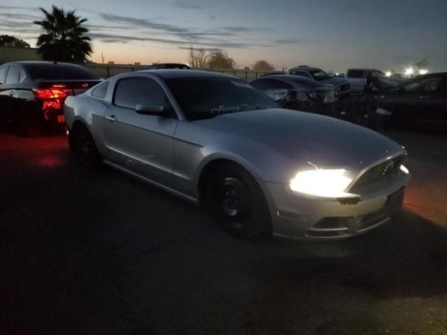 2013 Ford Mustang