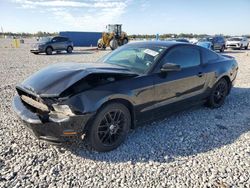 Salvage cars for sale from Copart Arcadia, FL: 2014 Ford Mustang