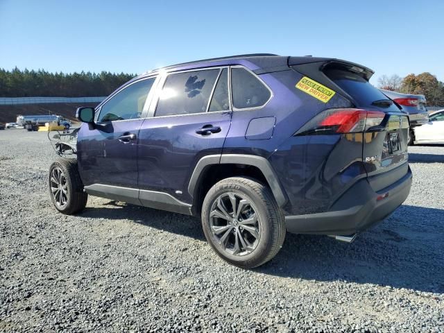 2025 Toyota Rav4 xle Premium
