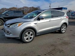 Salvage cars for sale from Copart Ham Lake, MN: 2013 Ford Escape se