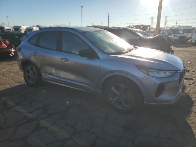 2024 Ford Escape st Line