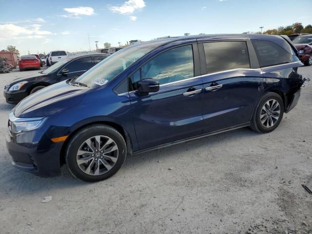 2024 Honda Odyssey exl