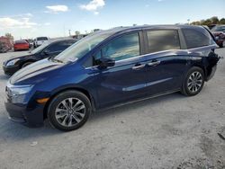 2024 Honda Odyssey exl for sale in Indianapolis, IN