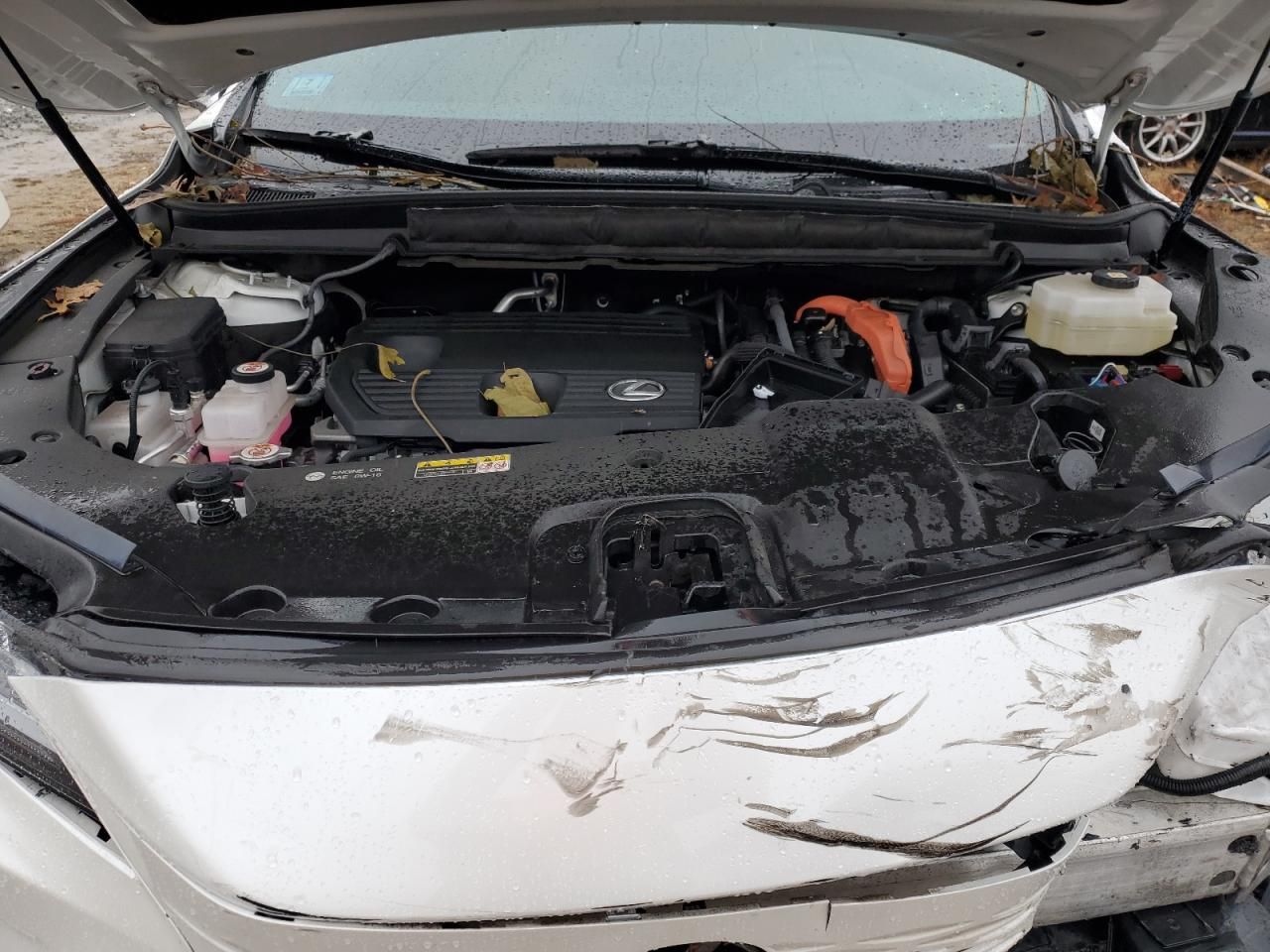 2024 Lexus Rx 350h Base