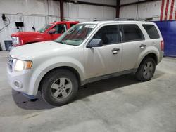 Ford salvage cars for sale: 2009 Ford Escape xlt