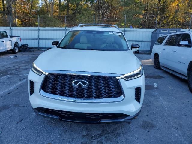 2024 Infiniti Qx60 Sensory