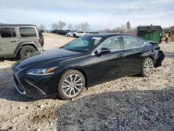 Lexus salvage cars for sale: 2019 Lexus Es 350
