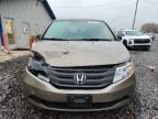 2013 Honda Odyssey exl
