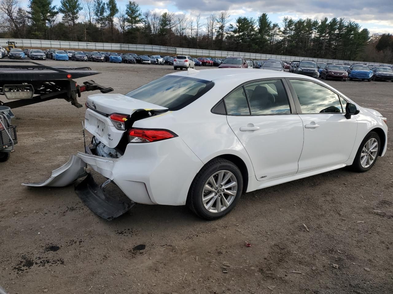 2025 Toyota Corolla le