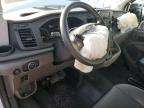 2025 Ford Transit Delivery Van