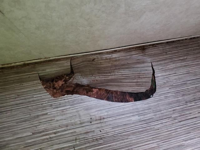 2016 Forest River Trvltrlr-camper