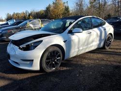 2023 Tesla Model 3 for sale in Cookstown, ON