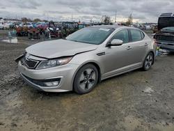 2013 KIA Optima Hybrid en venta en Eugene, OR