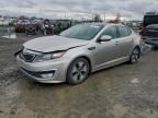 2013 KIA Optima Hybrid