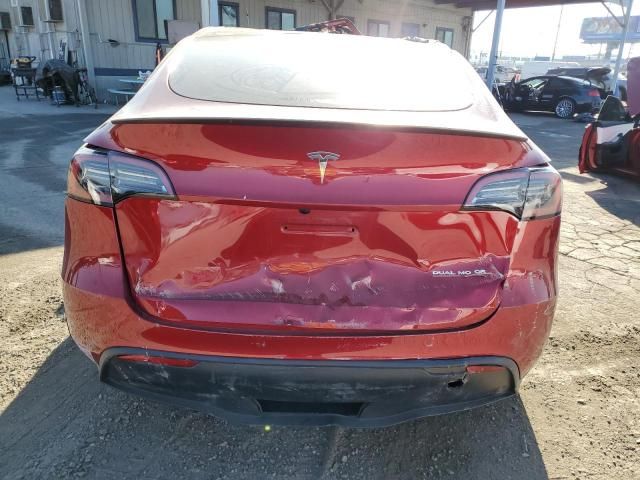 2025 Tesla Model y