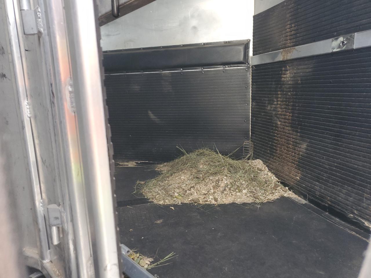 1999 4-Star Horse Trailer