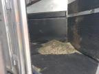 1999 4-Star Horse Trailer